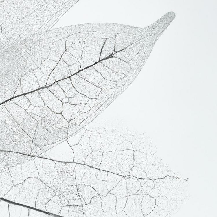 Bielactwo co to - czy da się je wyleczyć?