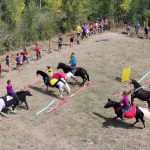 Czy hobby horsing to sport?